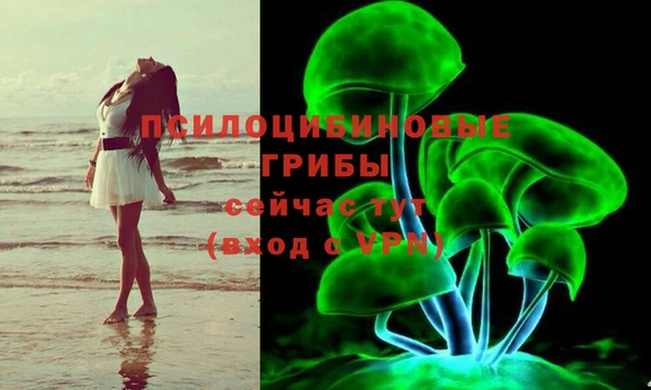 молекула духа Белокуриха