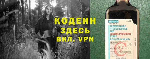 молекула духа Белокуриха